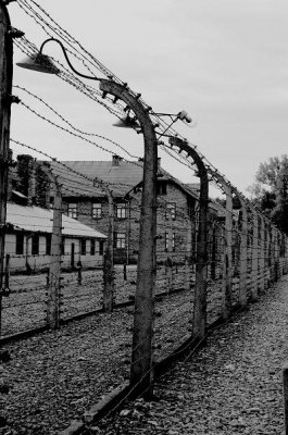 auschwitz_400