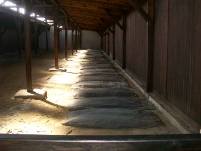 majdanek_063_400 majdanek_063_400