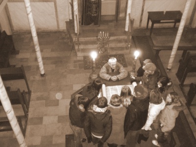 przytorzesepia_400_02 przytorzesepia_400_02